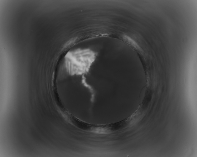 X0000082940163200703020135