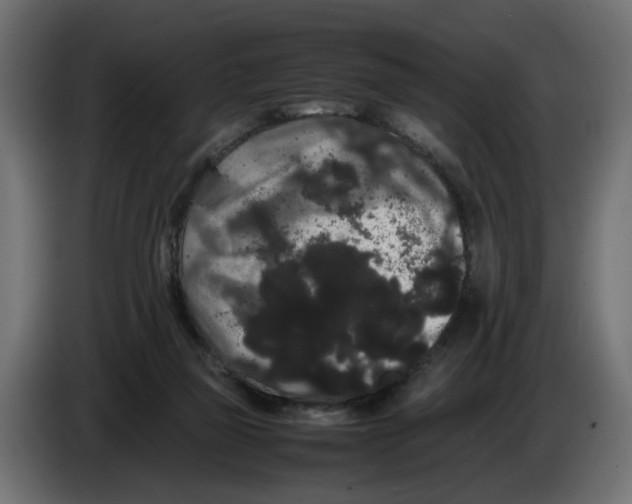 X0000082940165200703020135