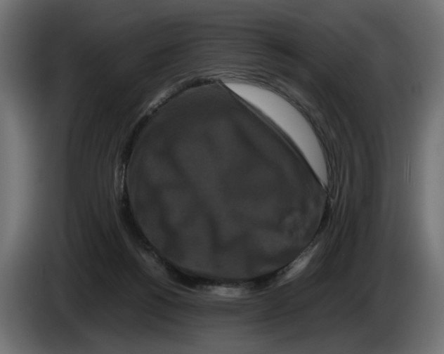 X0000082940168200703020135