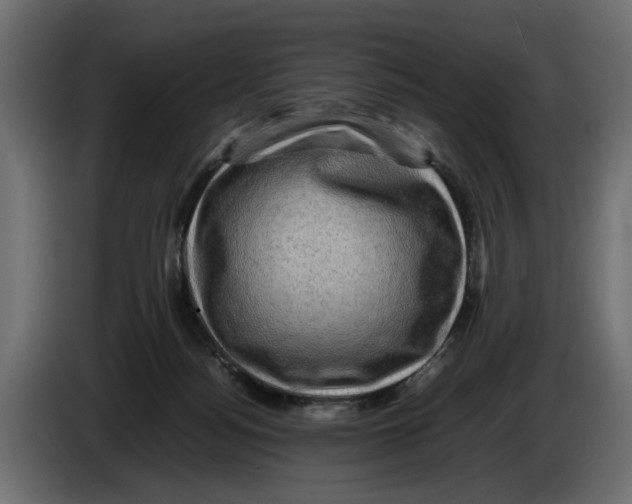 X0000082940172200703020135