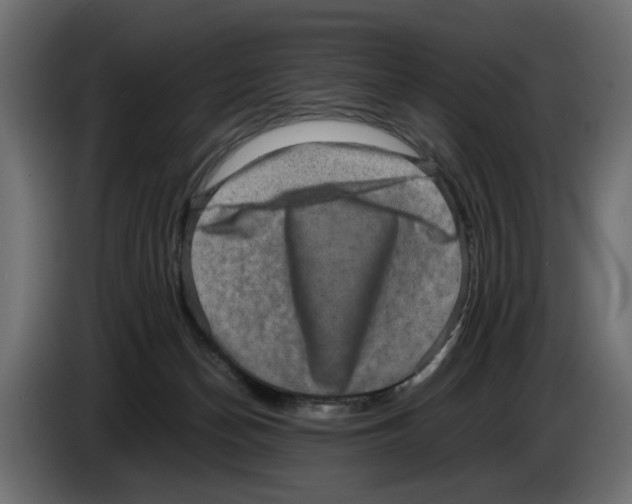 X0000082940174200703020135