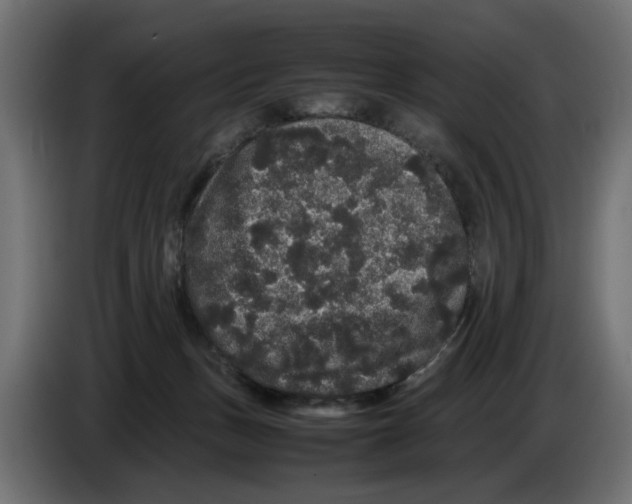 X0000082940175200703020135