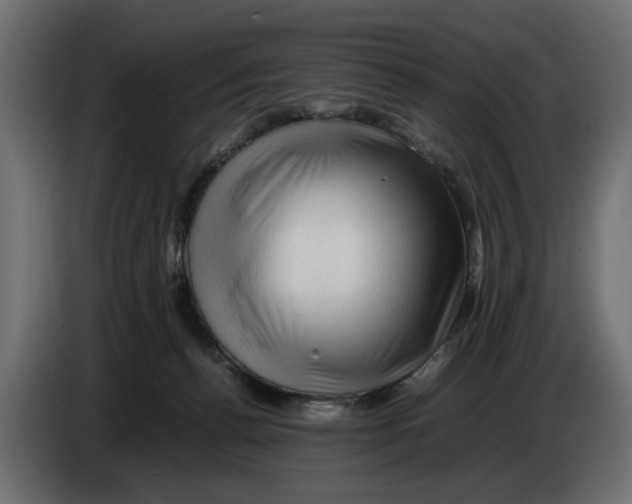 X0000082940176200703020135