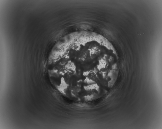 X0000082940177200703020135