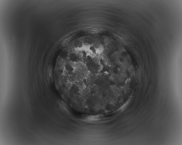 X0000082940178200703020135