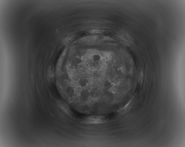 X0000082940179200703020135