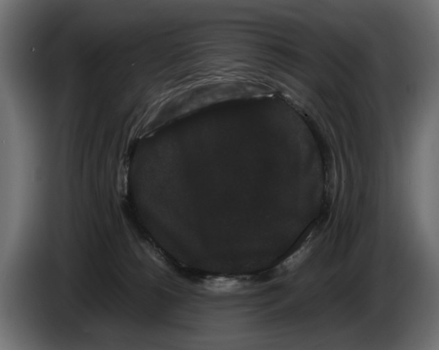 X0000082940180200703020135