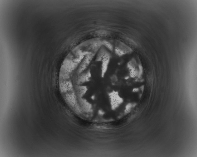 X0000082940181200703020135