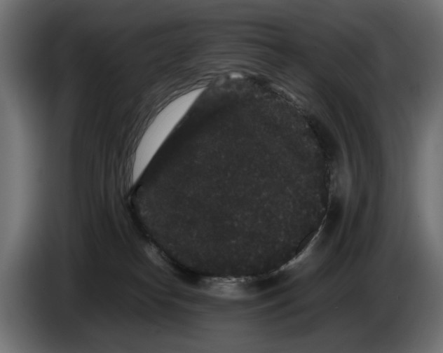 X0000082940182200703020135