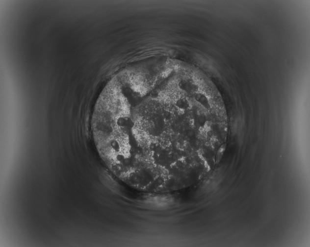 X0000082940185200703020135