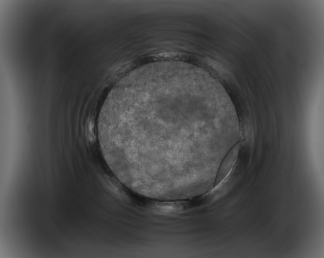 X0000082940187200703020135