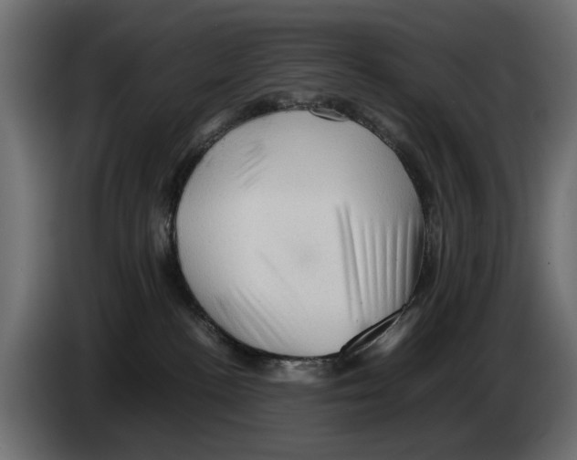 X0000082940188200703020135