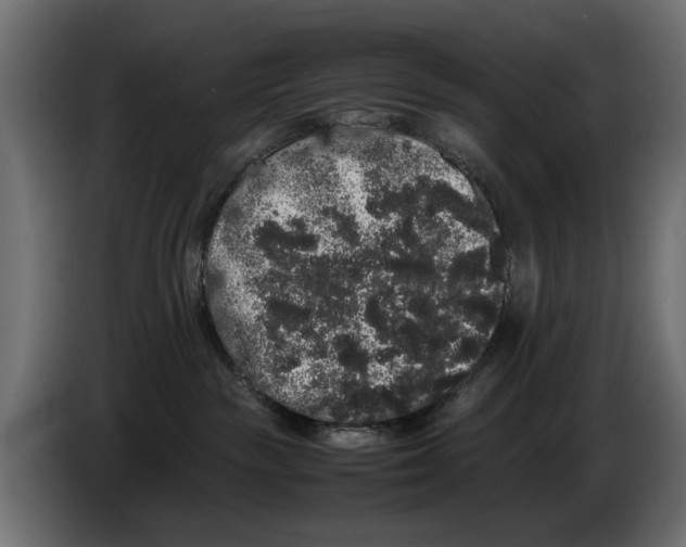 X0000082940189200703020135