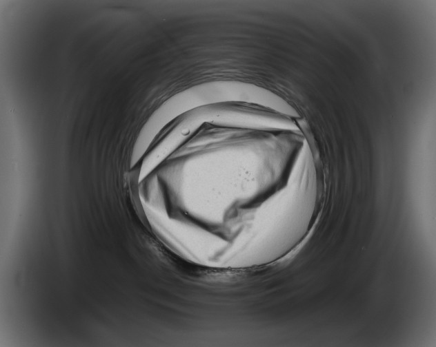 X0000082940190200703020135