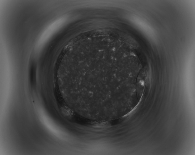 X0000082940191200703020135