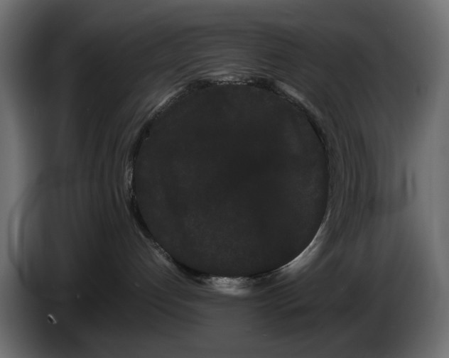 X0000082940192200703020135