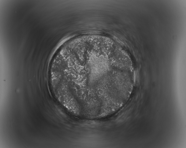 X0000082940195200703020135