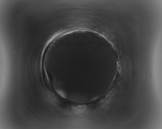 X0000082940196200703020135