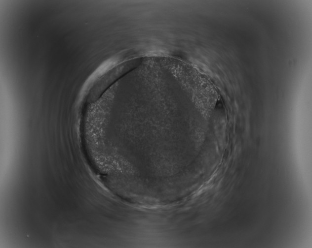 X0000082940197200703020134