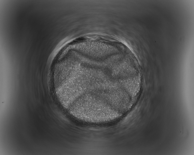 X0000082940199200703020134