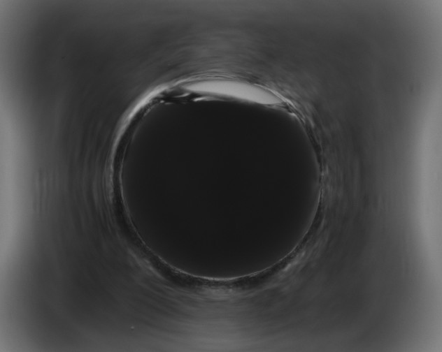 X0000082940200200703020134