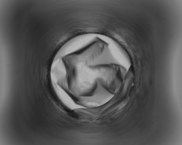 X0000082940201200703020134