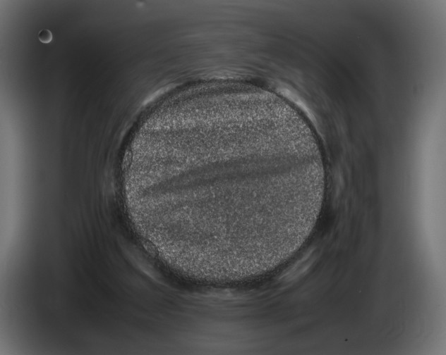 X0000082940203200703020134