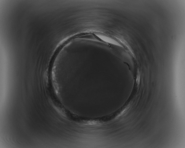 X0000082940204200703020134