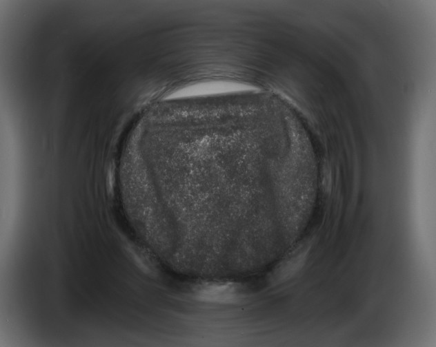 X0000082940206200703020134