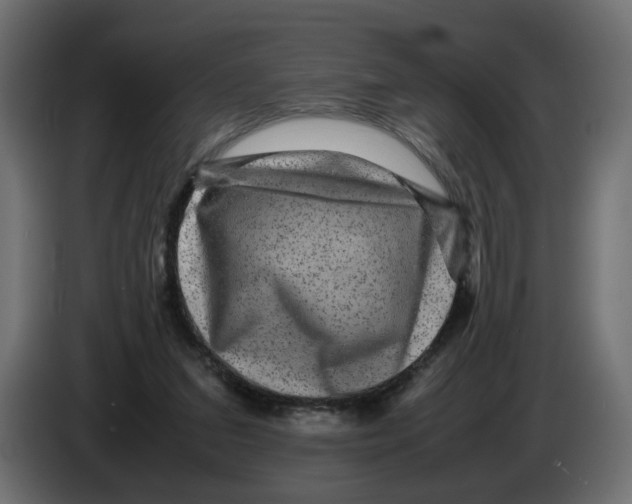 X0000082940207200703020134