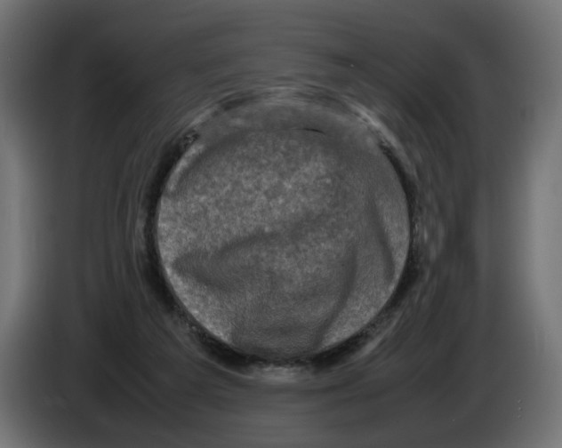 X0000082940209200703020134