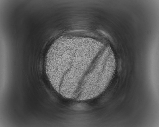 X0000082940210200703020134