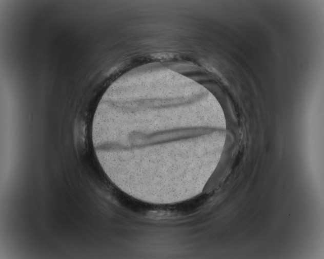 X0000082940211200703020134