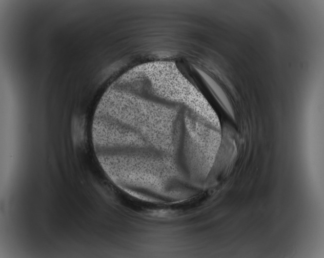 X0000082940212200703020134