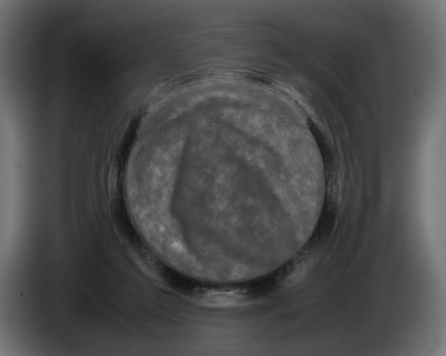 X0000082940213200703020134