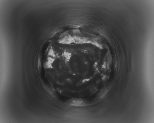 X0000082940214200703020134