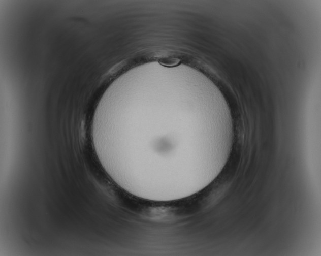 X0000082940216200703020134