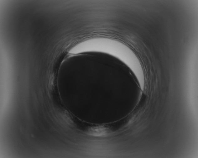 X0000082940219200703020134