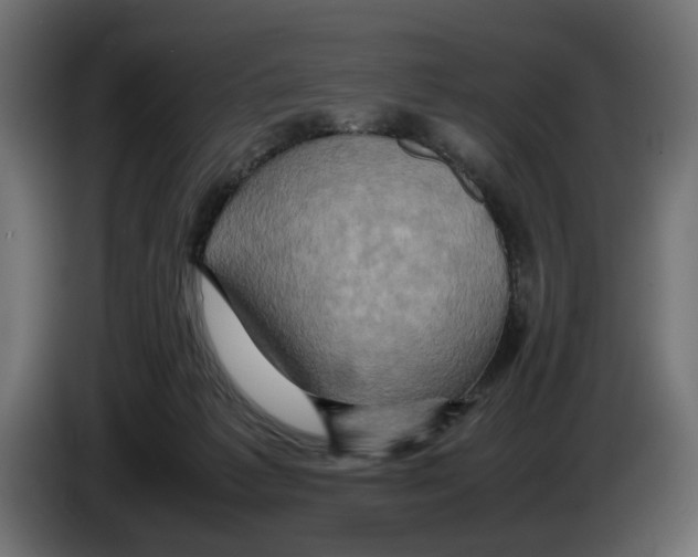 X0000082940221200703020134