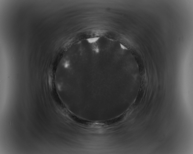 X0000082940222200703020134