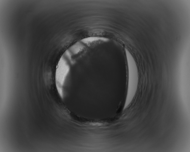 X0000082940224200703020134