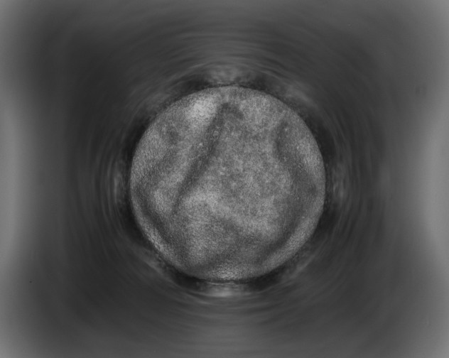 X0000082940226200703020134