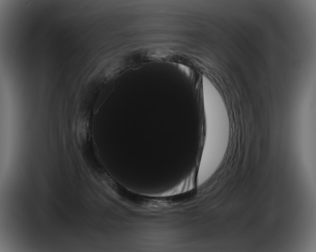 X0000082940227200703020134