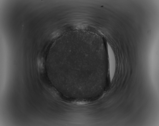 X0000082940228200703020134