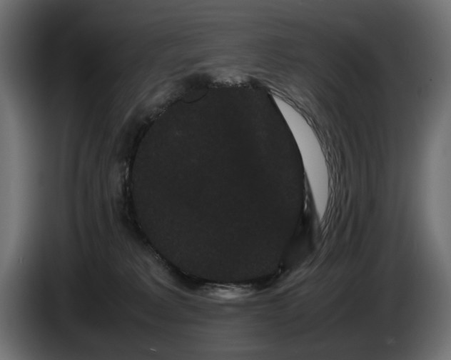 X0000082940229200703020134