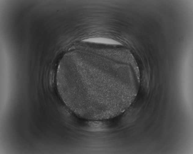 X0000082940230200703020134