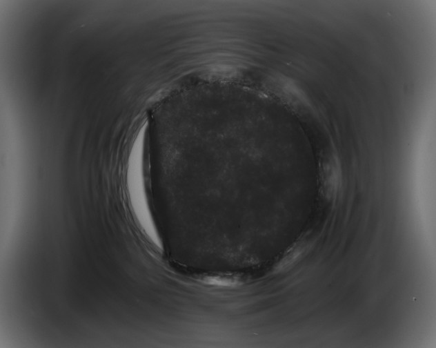 X0000082940232200703020134