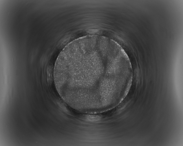 X0000082940234200703020134