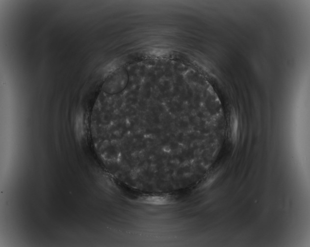 X0000082940236200703020134