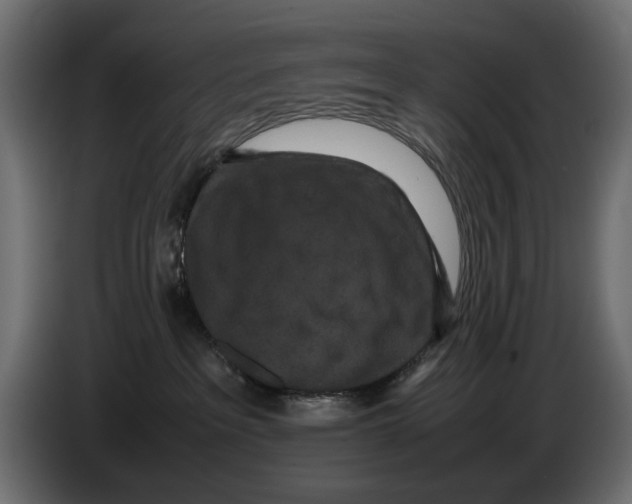 X0000082940237200703020134